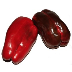 Pimientos rojos